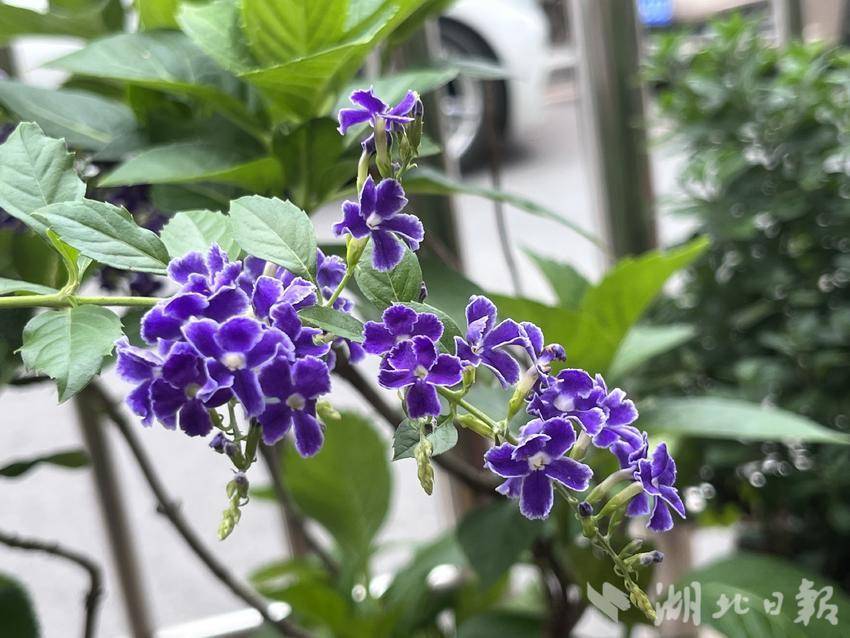 5k登录手机会员